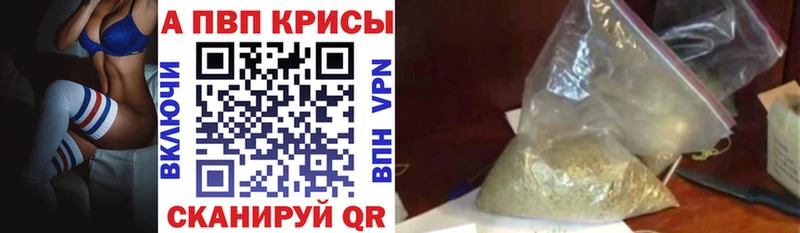 A PVP СК КРИС  Белёв 