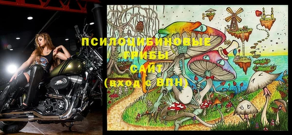 стаф Балабаново