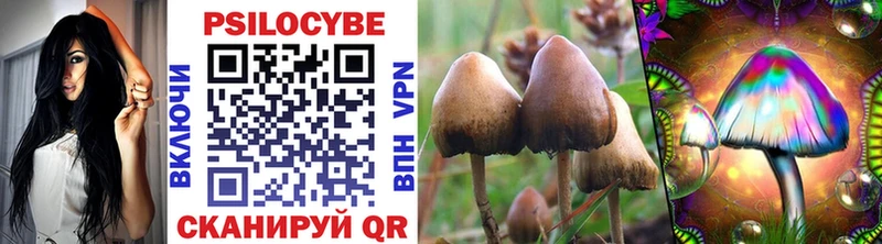 как найти закладки  Белёв  Галлюциногенные грибы Psilocybine cubensis 
